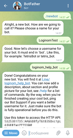Название бота — LoginomTest, уникальное имя (username) — loginom_help_bot